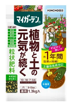 空芯菜の育て方～美味しいレシピも紹介～｜KINCHO園芸