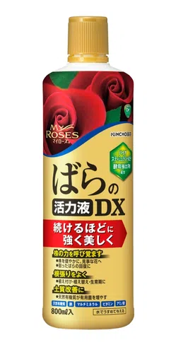 基本を押さえれば安心】バラの挿し木の方法やコツなどを解説｜KINCHO園芸