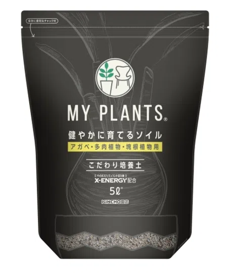 e3be903b_large.webp